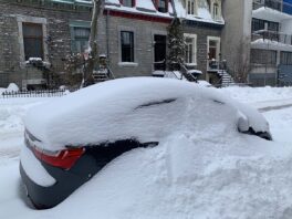 11 raisons pour lesquelles je perds mon temps au Québec depuis 22 mois