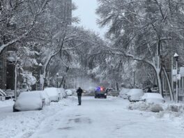 [Images] Montréal : première tempête de neige de la saison